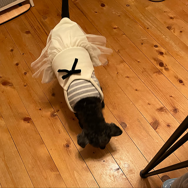 Chipさんの実例写真