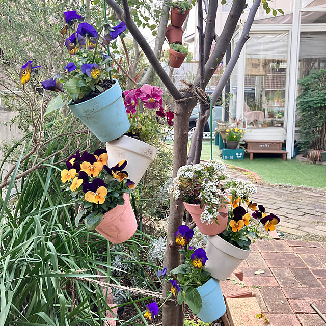 tararaさんの部屋