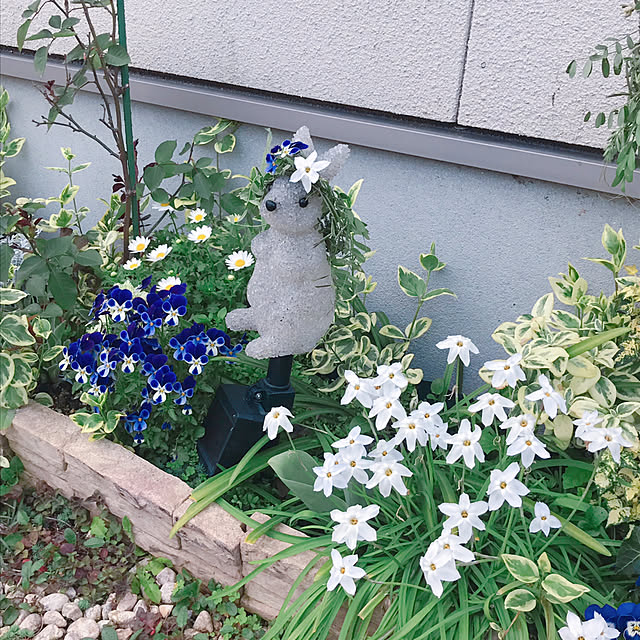 portulacaさんの実例写真