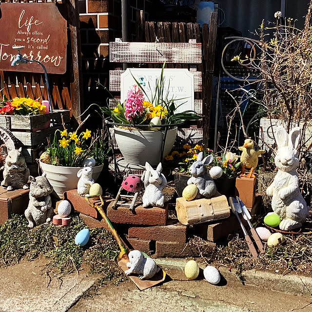 taeさんのお部屋の写真