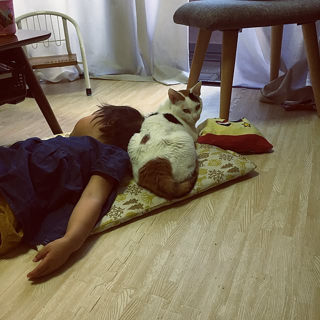 ichi.さんの実例写真
