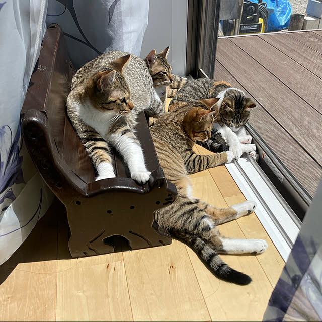 manekinekoさんの実例写真