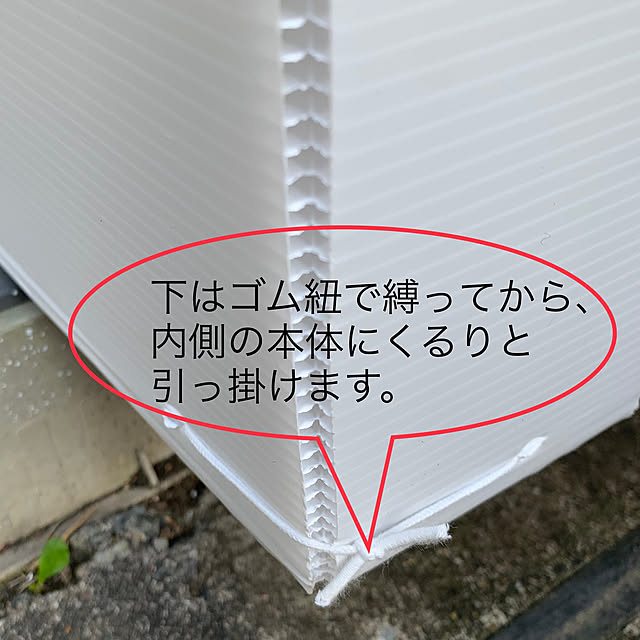 kittyさんの部屋