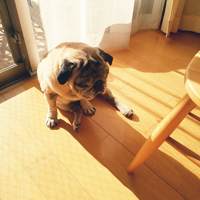 Rieyさんの実例写真