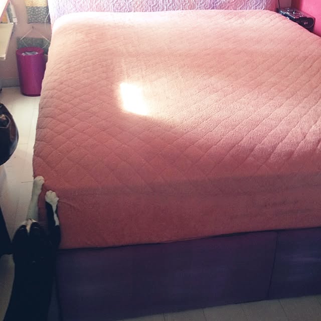 kimishigureさんの実例写真