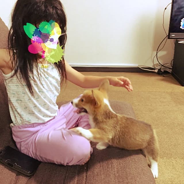 asamiさんの実例写真