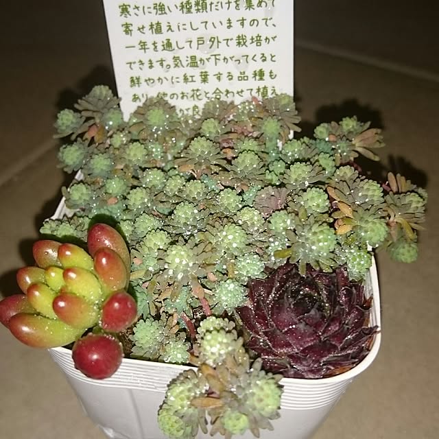 hideさんの実例写真