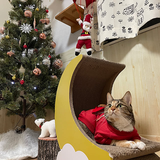 mikaさんの実例写真