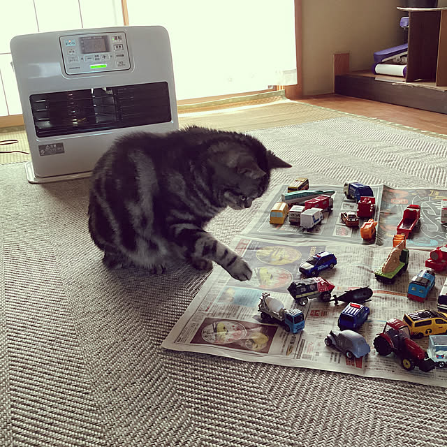 richanさんの部屋