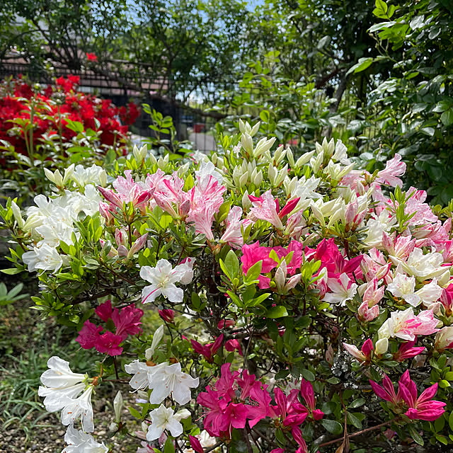 natsumiさんの部屋