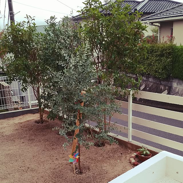 megumilk0829さんの実例写真