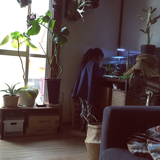 asuuさんの実例写真