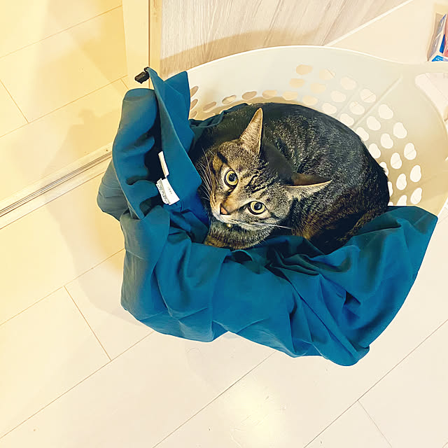 mmeeronさんの部屋