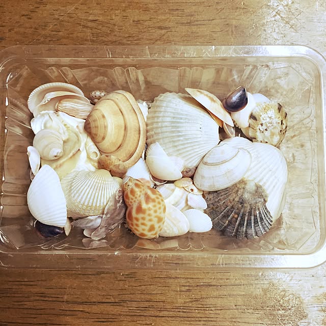 Mさんの実例写真