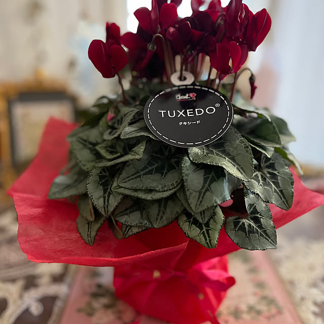 AYUKOさんの部屋