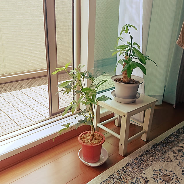 hiroritaさんの実例写真