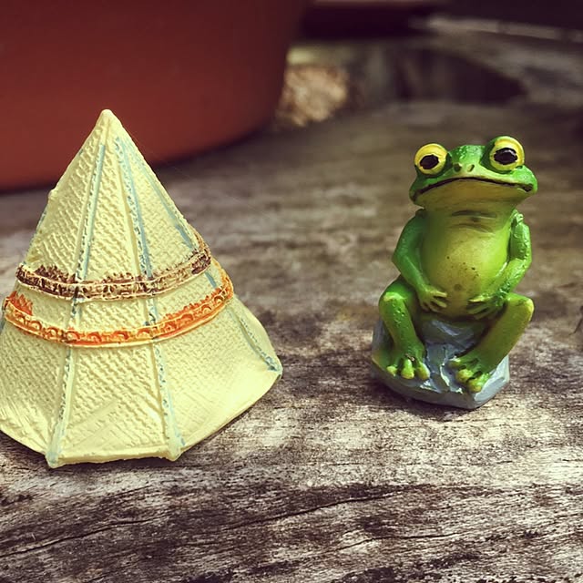 tamamushiさんの実例写真