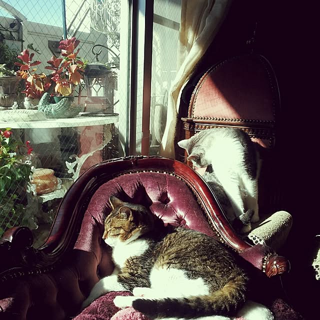 emmyyさんの実例写真