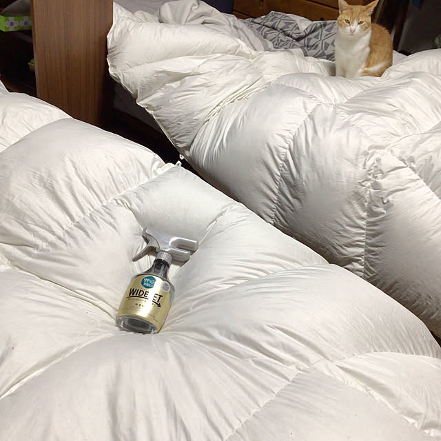houenさんの部屋