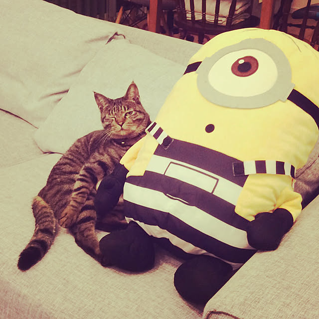 KANさんの実例写真