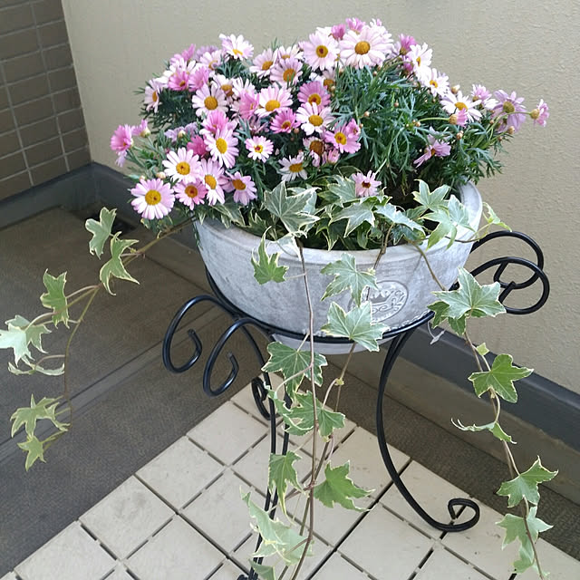 mayumiさんの実例写真