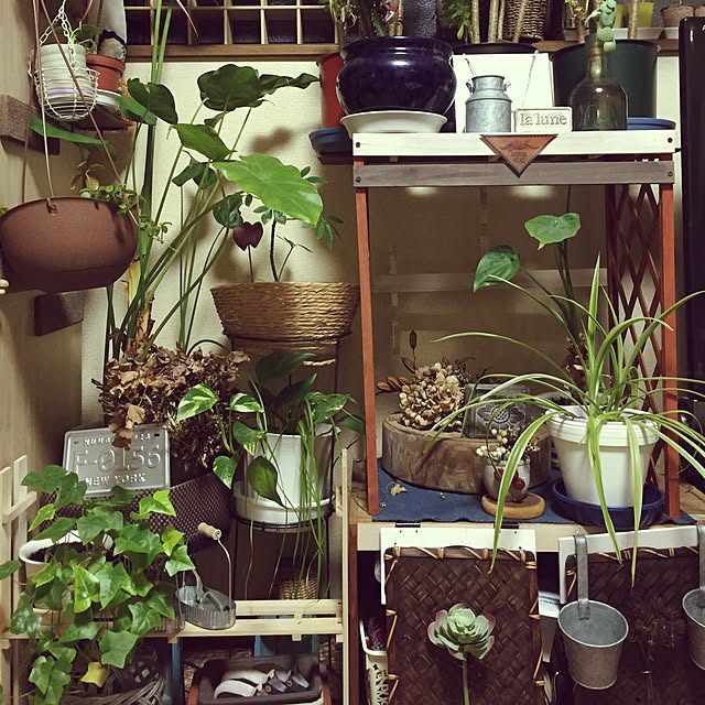 Norikoさんの実例写真