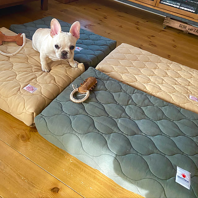 yumiさんの実例写真