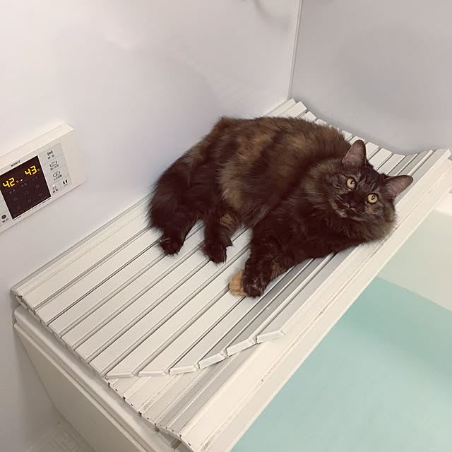mikomaruさんの実例写真
