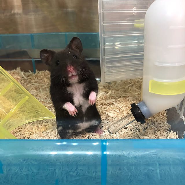 hiroさんの実例写真