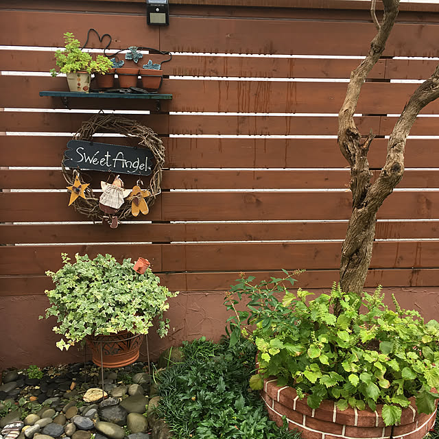 junjunさんの実例写真