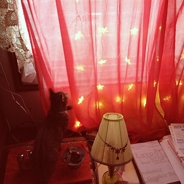 homi38さんの実例写真