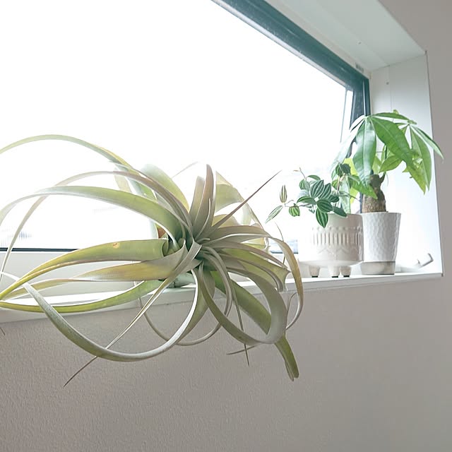 otokiさんの部屋