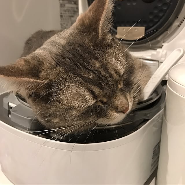 nanaさんの実例写真