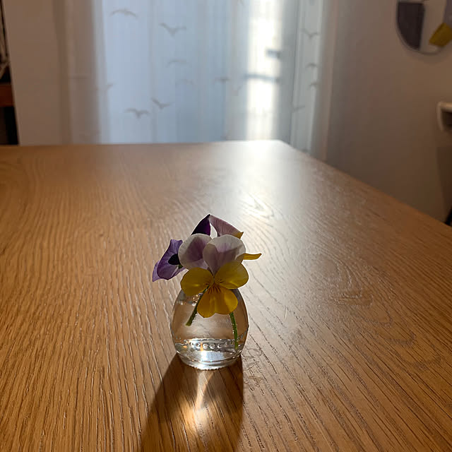 Minteaさんの部屋