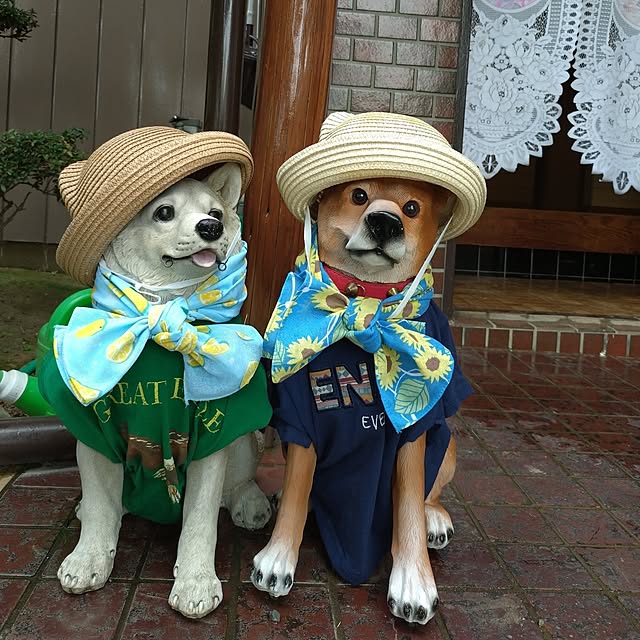 NOAHさんの実例写真