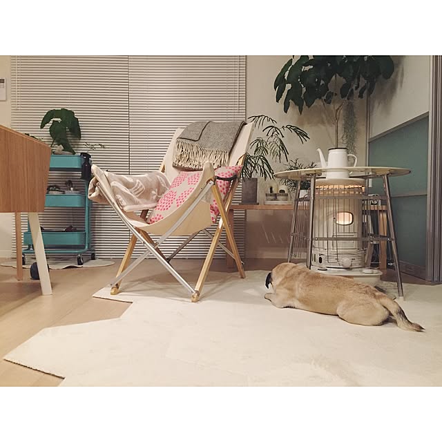 TAKEチェアのおすすめ商品とおしゃれな実例 | RoomClip(ルーム TAKEチェアのおすすめ商品とおしゃれな実例 | RoomClip(ルーム