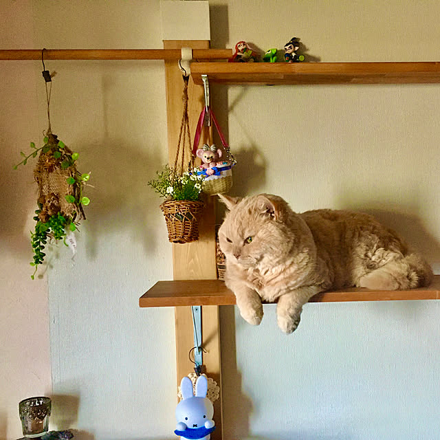 naokoさんの部屋