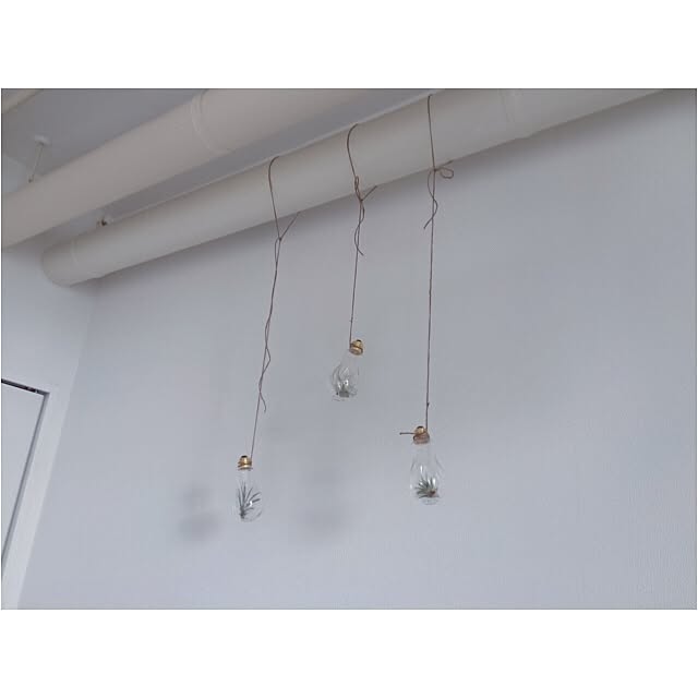 yuikamさんの実例写真