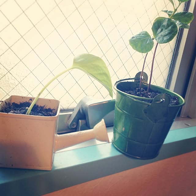 jinjin1172さんの実例写真