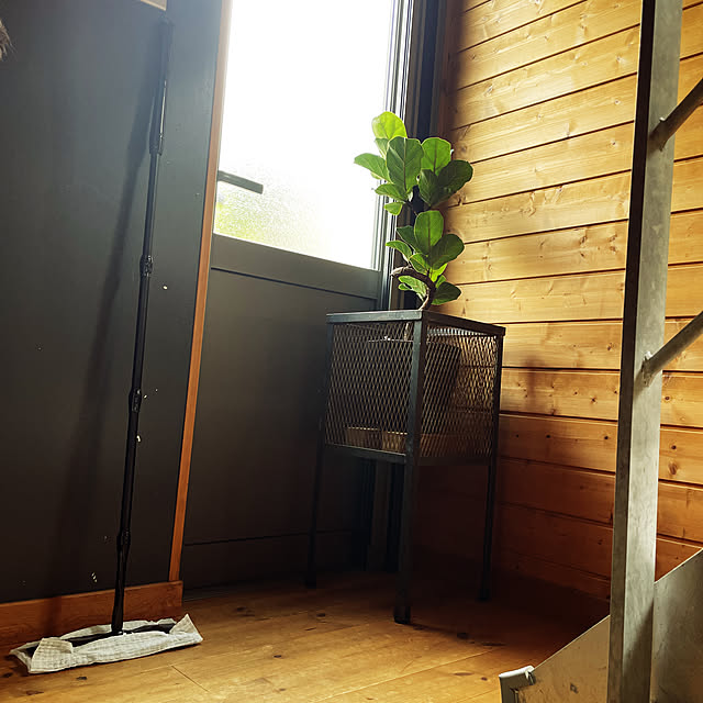 moniさんの実例写真