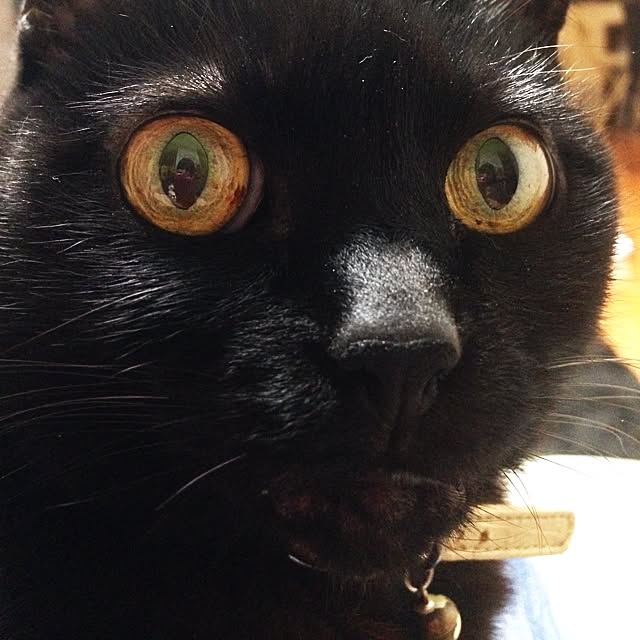 ALPSさんの実例写真