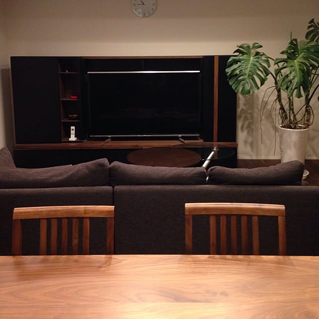 部屋全体/観葉植物/ソファのインテリア実例 - 2015-12-21 22:46:31