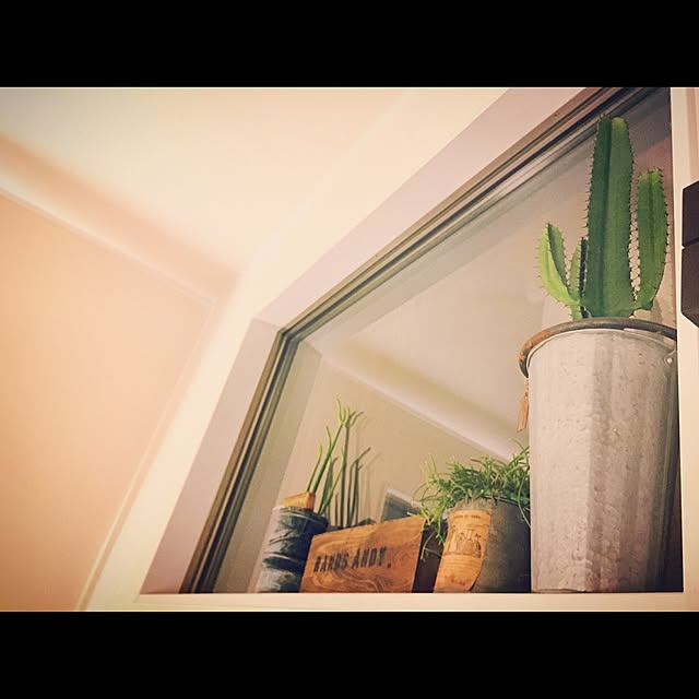 Rans_andy.さんの実例写真