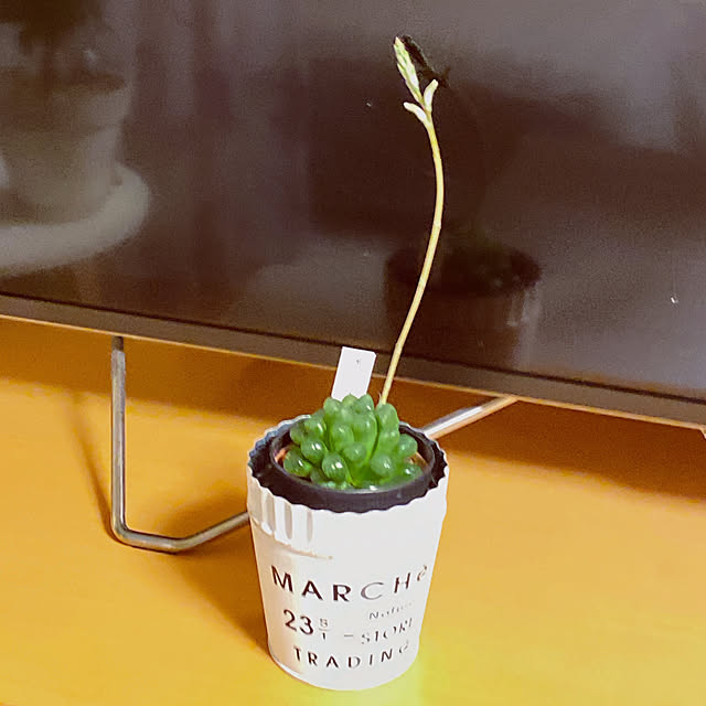 moolさんの部屋