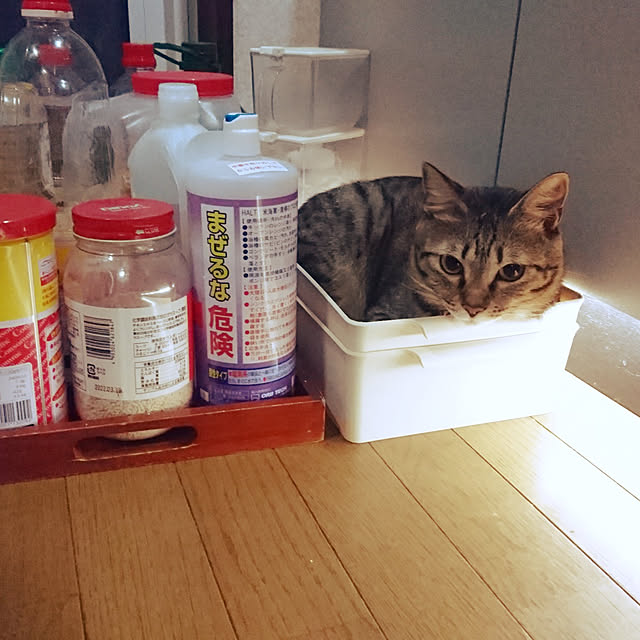 meguさんの実例写真