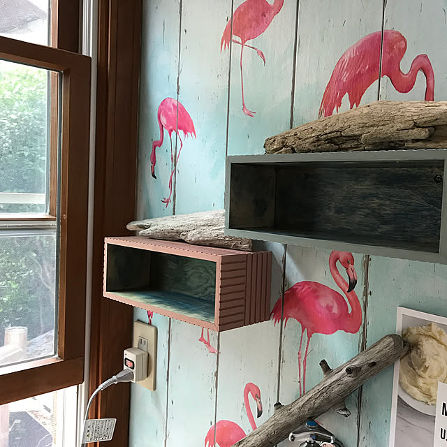 shinyaさんの実例写真