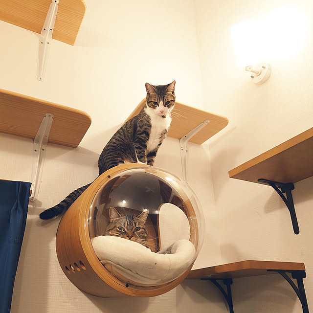 mochicoさんの実例写真