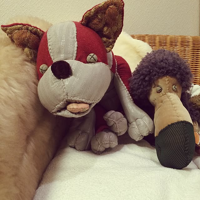 tamakoさんの実例写真