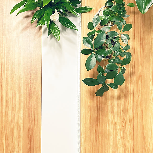 植物のある暮らし/観葉植物/ナチュラル/一人暮らし/机のインテリア実例 - 2021-03-22 01:50:14