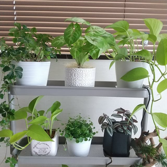 meiさんの部屋